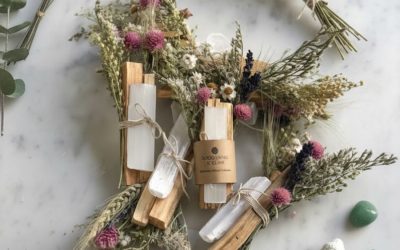 Les plantes n’agissent pas à notre place : elles nous accompagnent sur le chemin