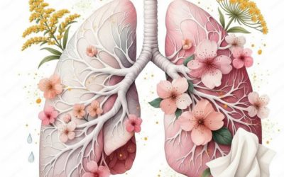 Allergies saisonnières : quand le corps se souvient